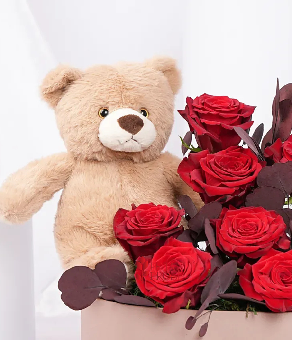 Rose Whisper Cuddles Arrangement