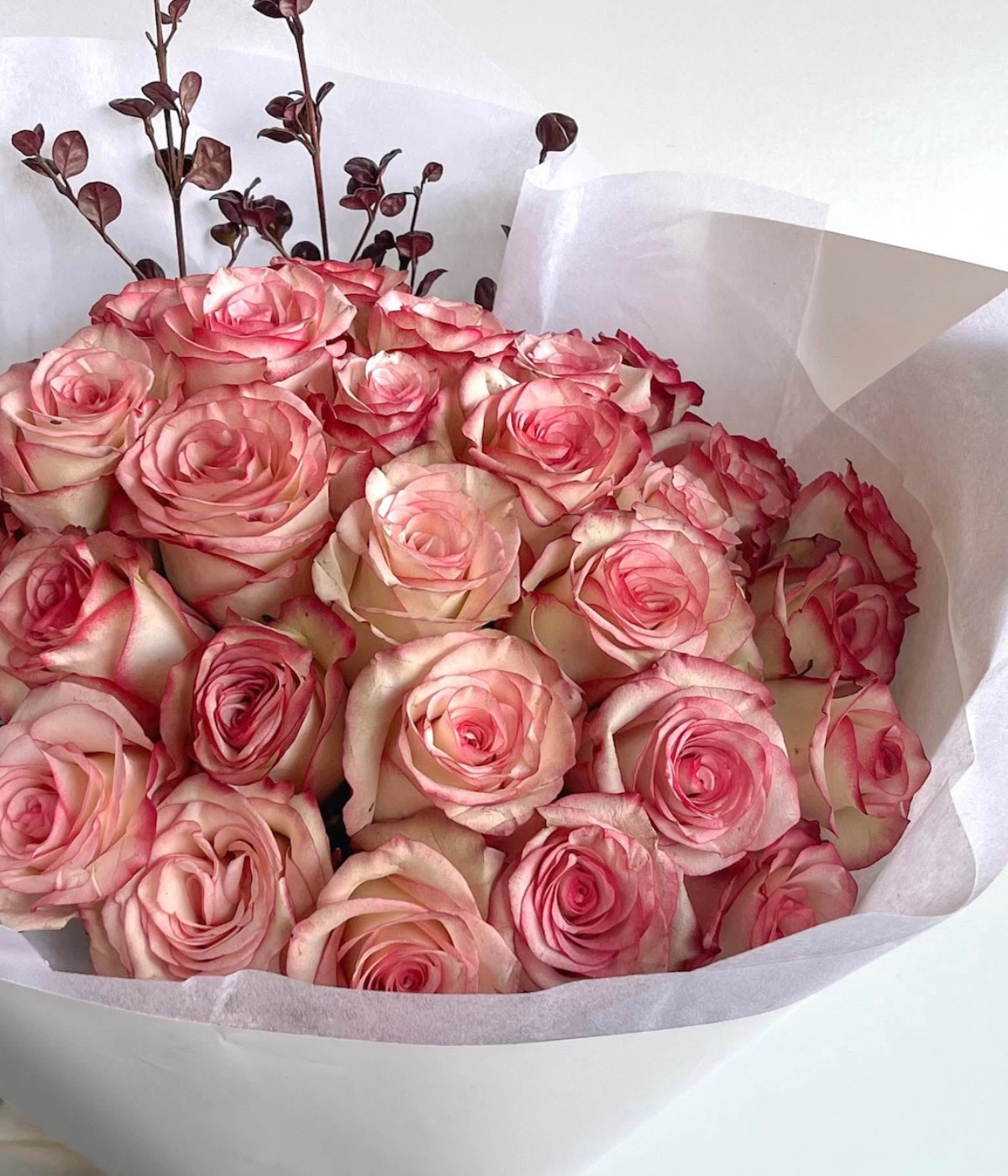 PINK ROSES EN MASSE