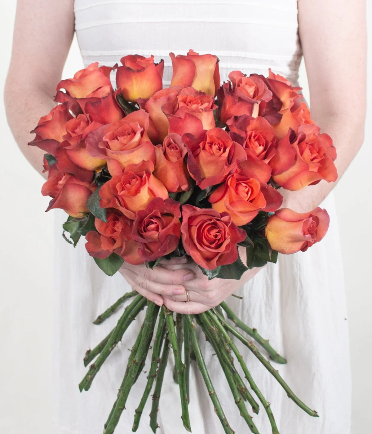 Terracotta Coffee Break Rose