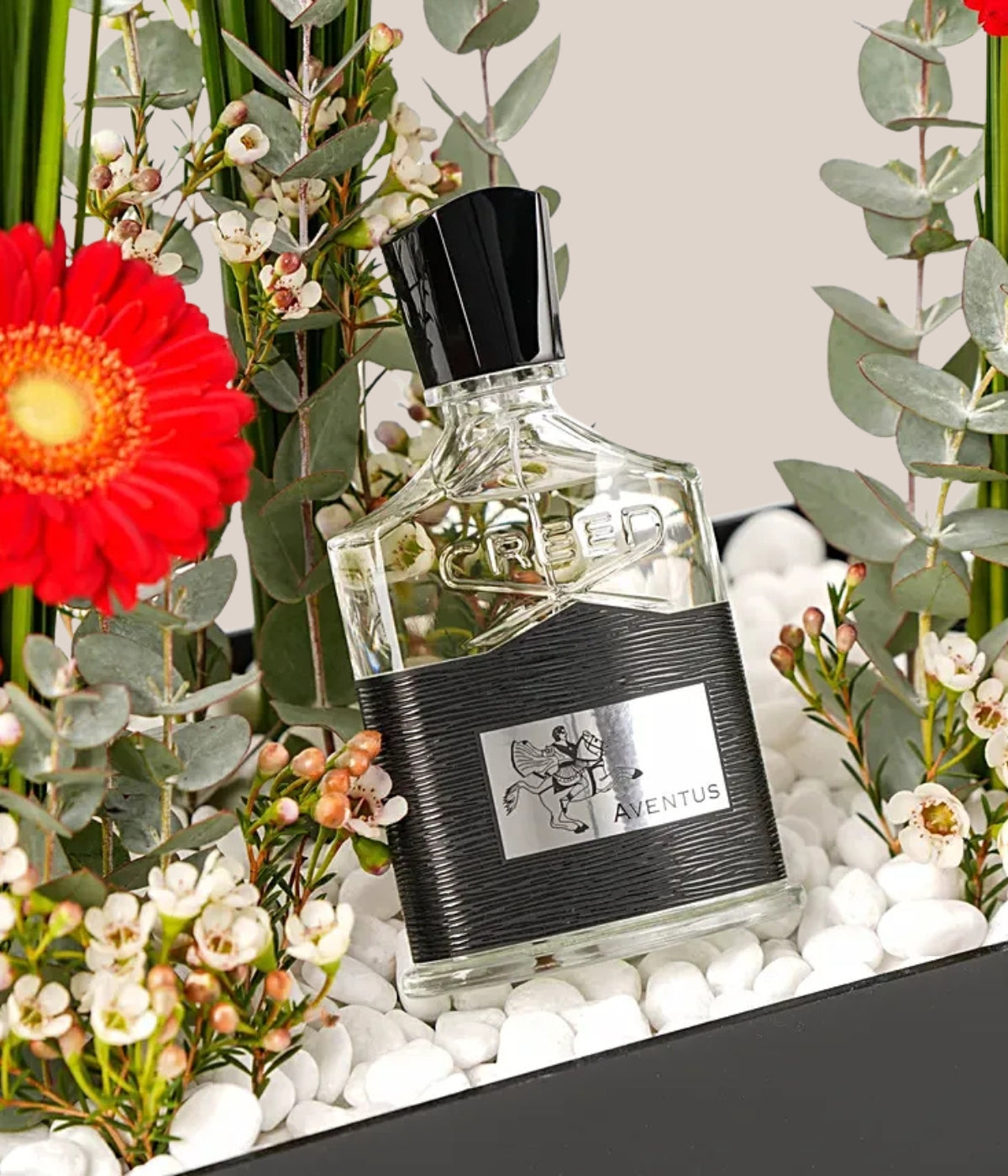A Fragrant Journey with Creed Aventus For Him