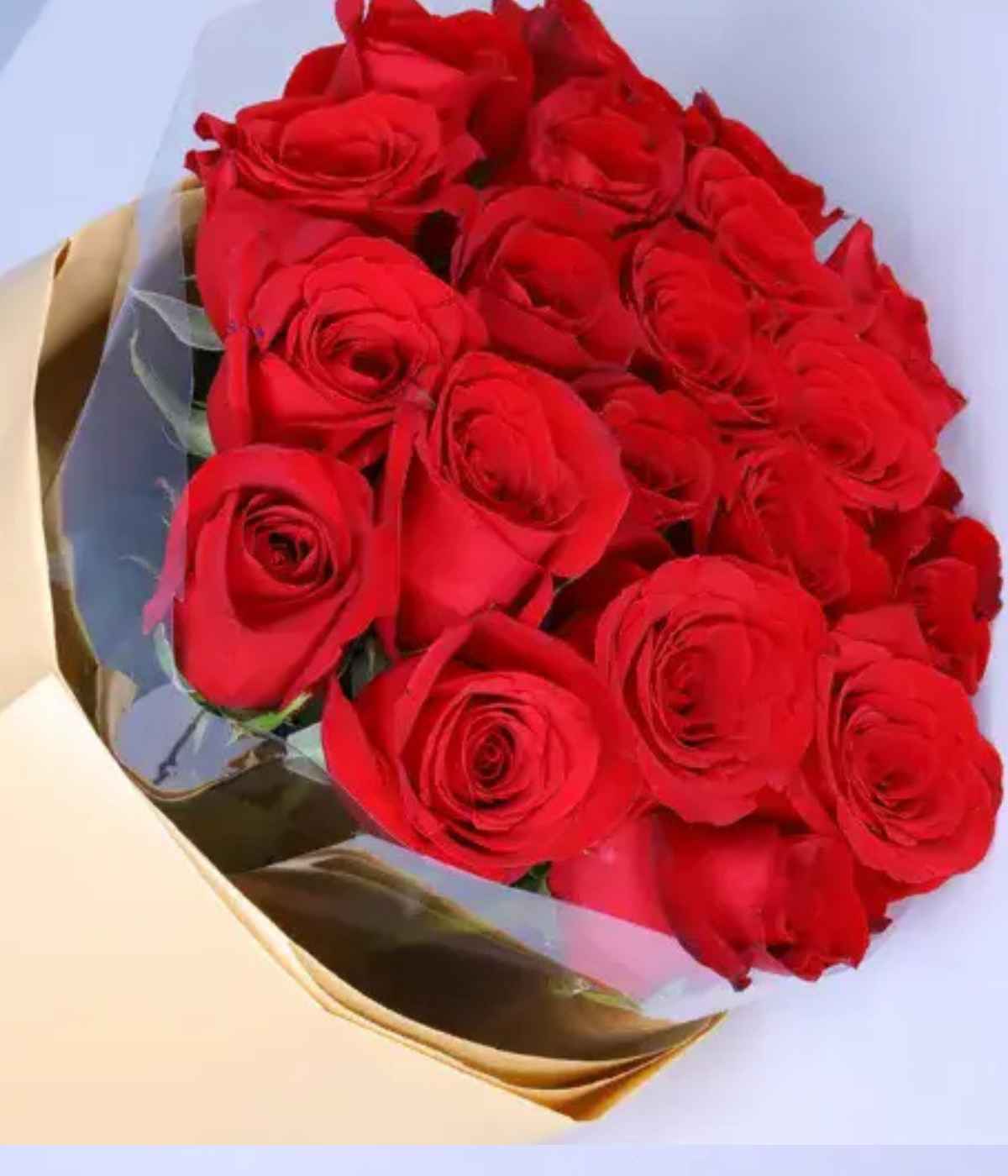 Propose with Red Bouquet