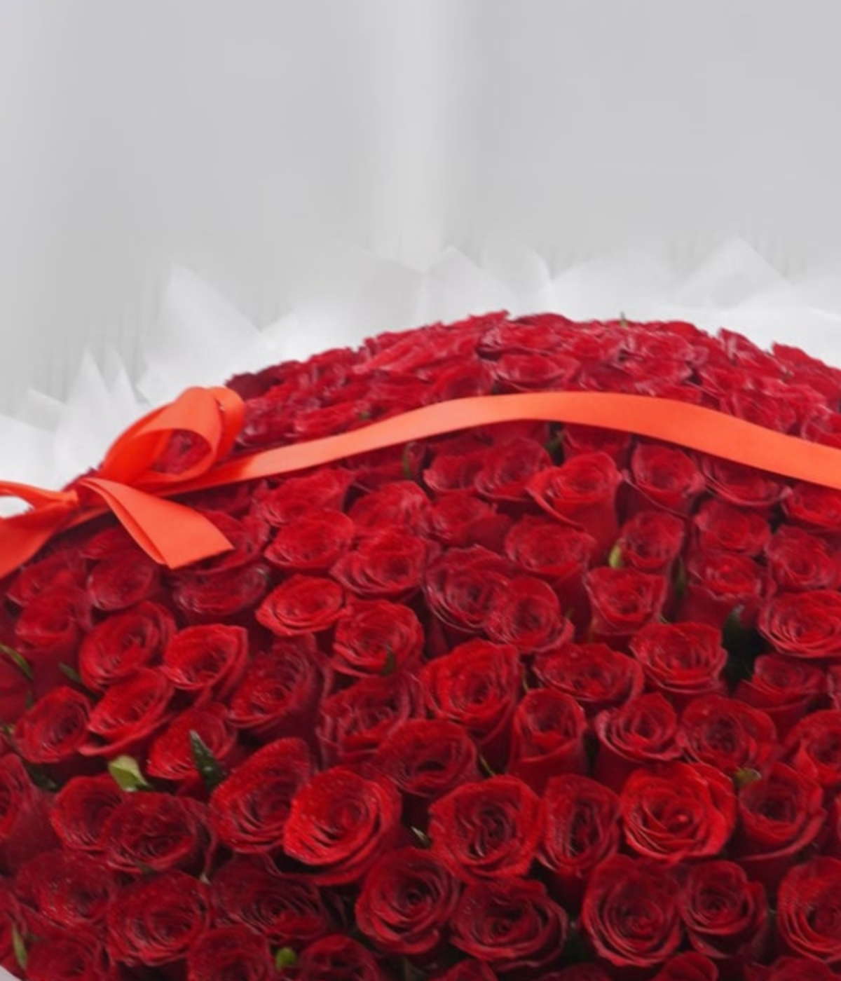 201 Premium Red Roses Bouquet