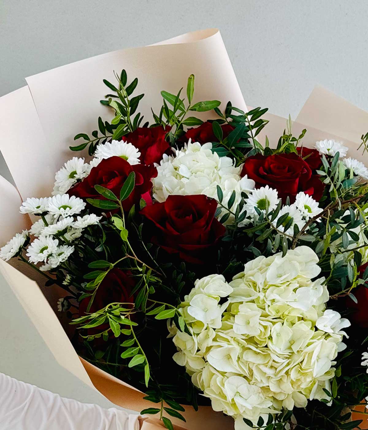 Hydrangea 's  spider