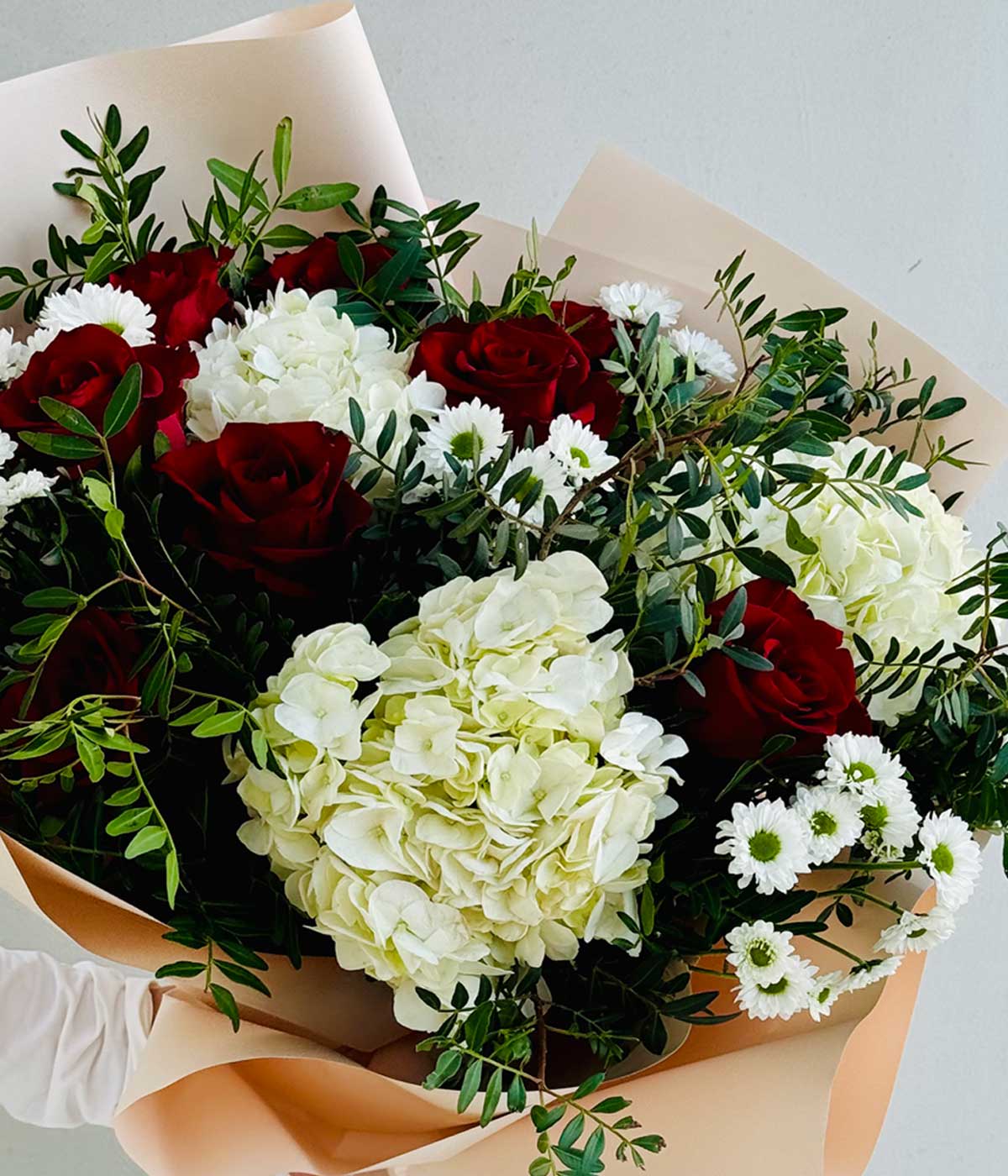 Hydrangea 's  spider