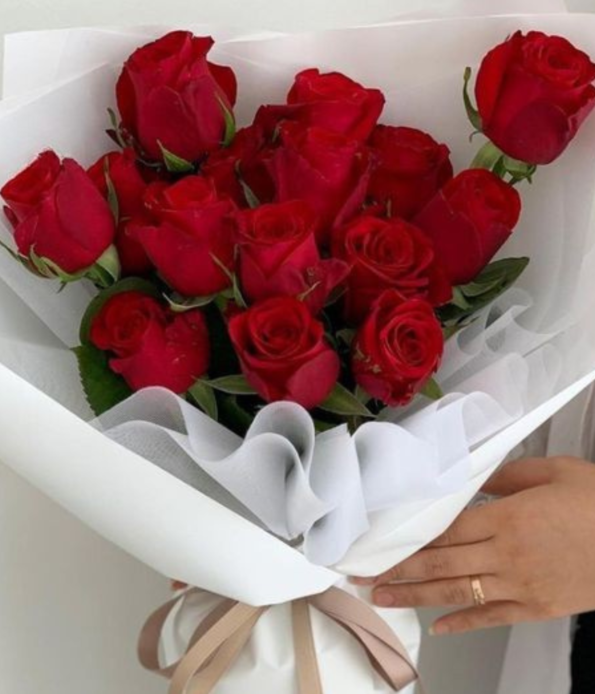 Pure Valentine Passion