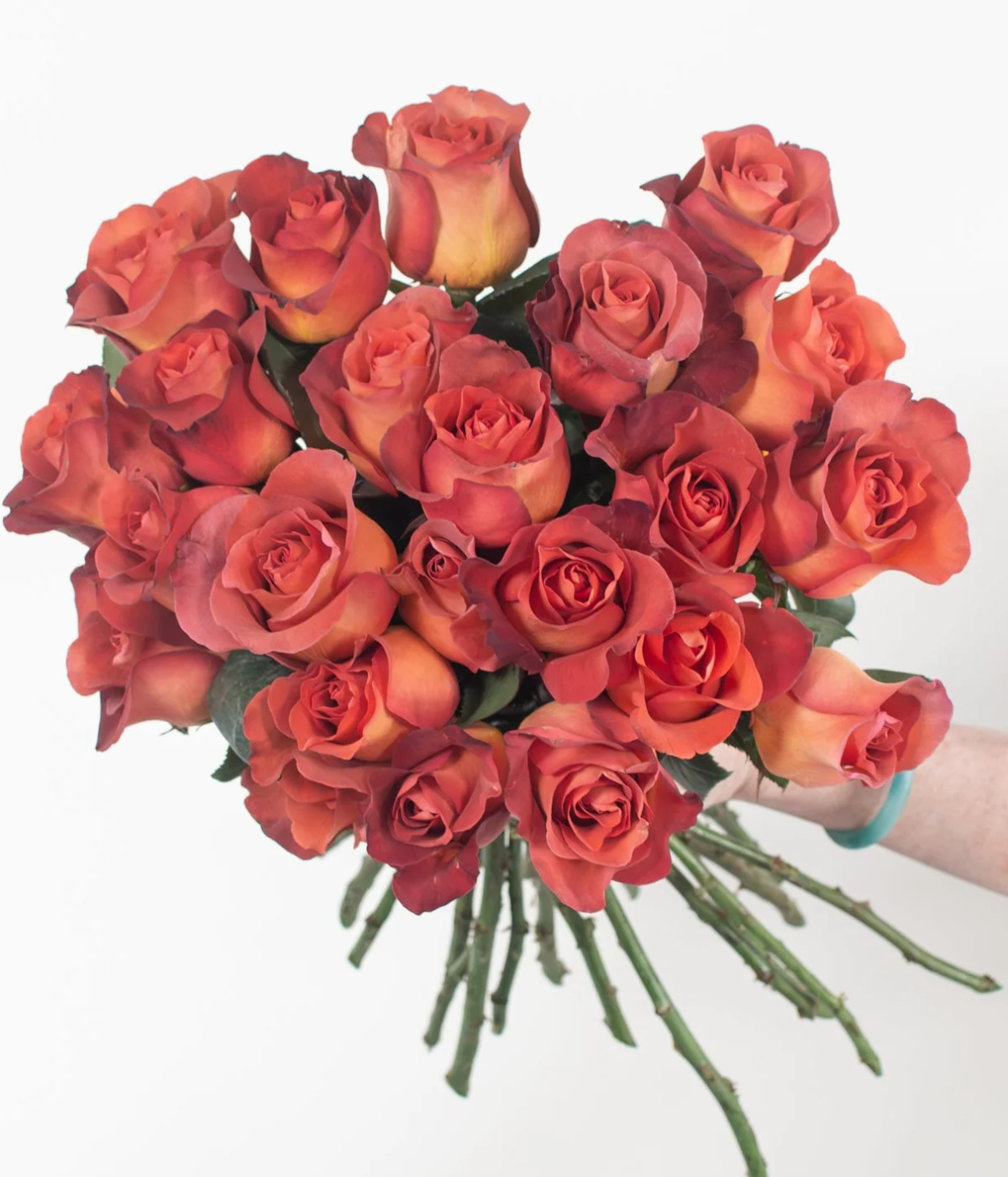 Terracotta Coffee Break Rose