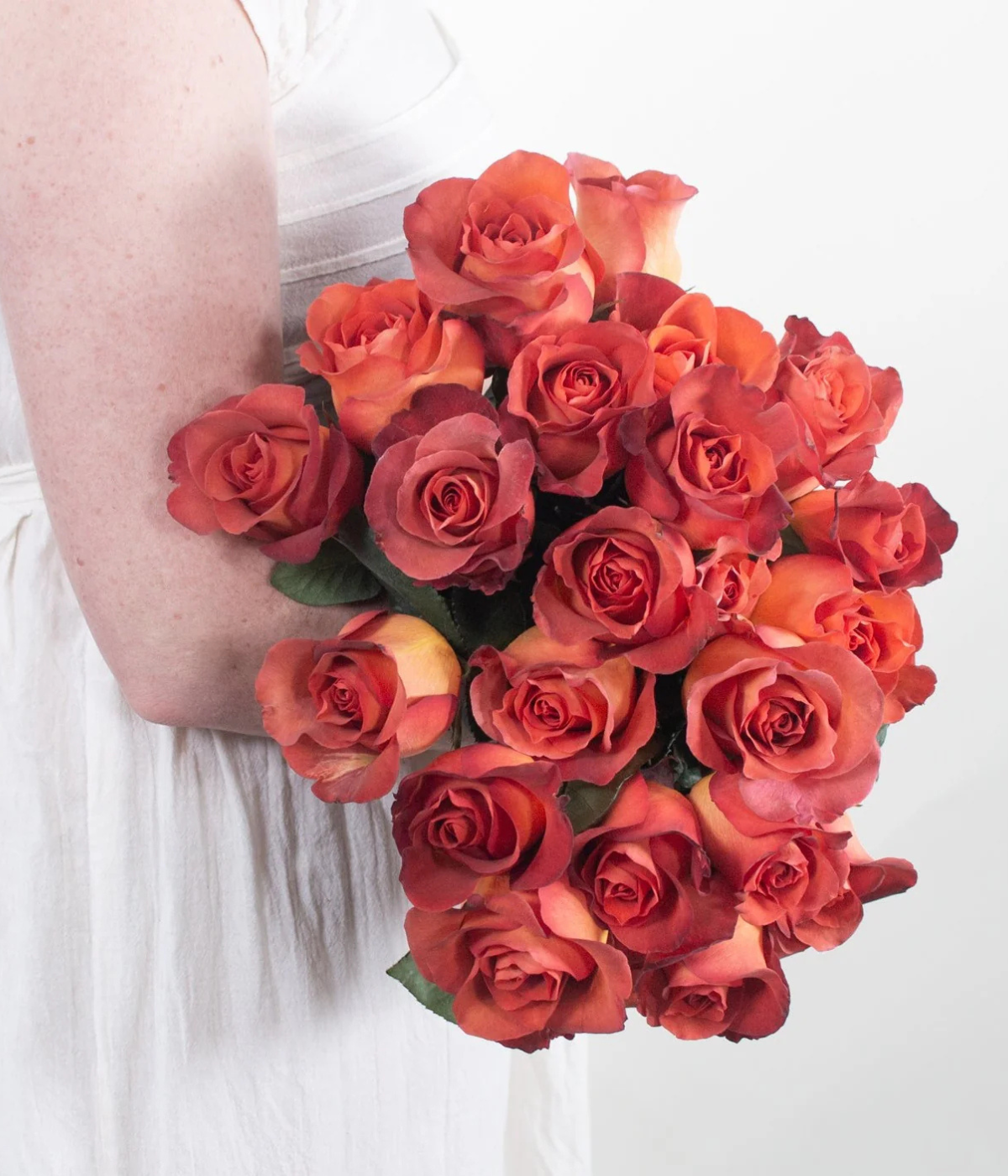 Terracotta Coffee Break Rose