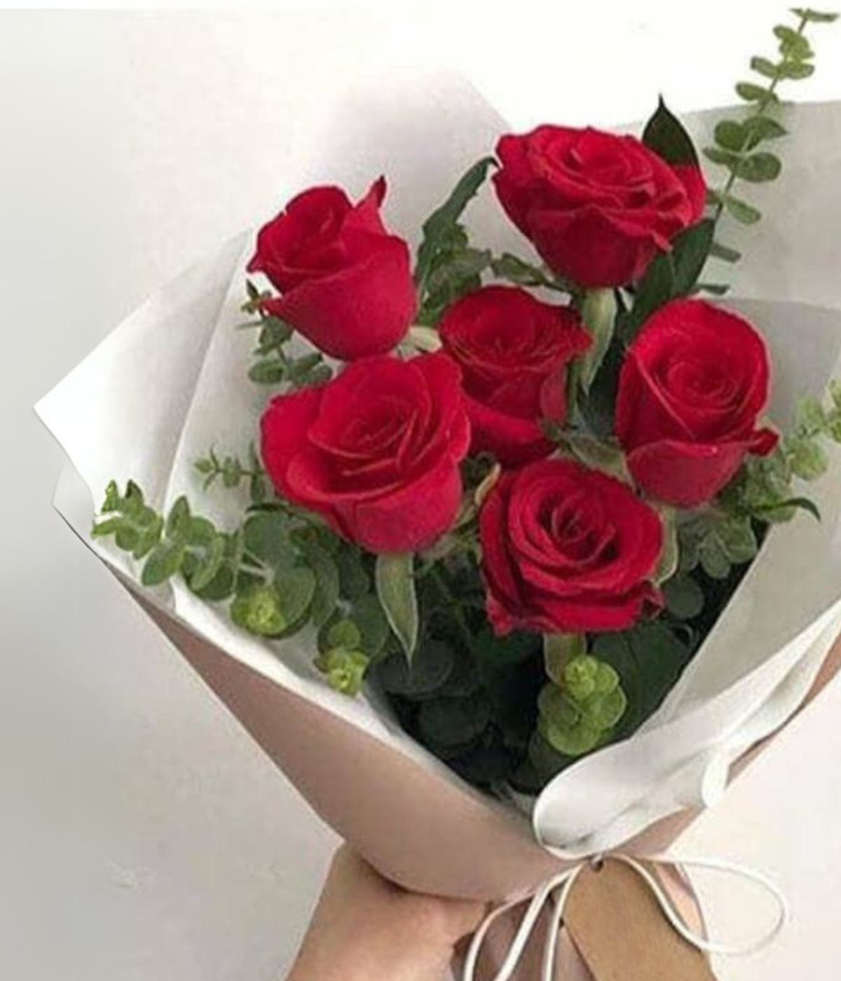 Valentine Radiance Blooms