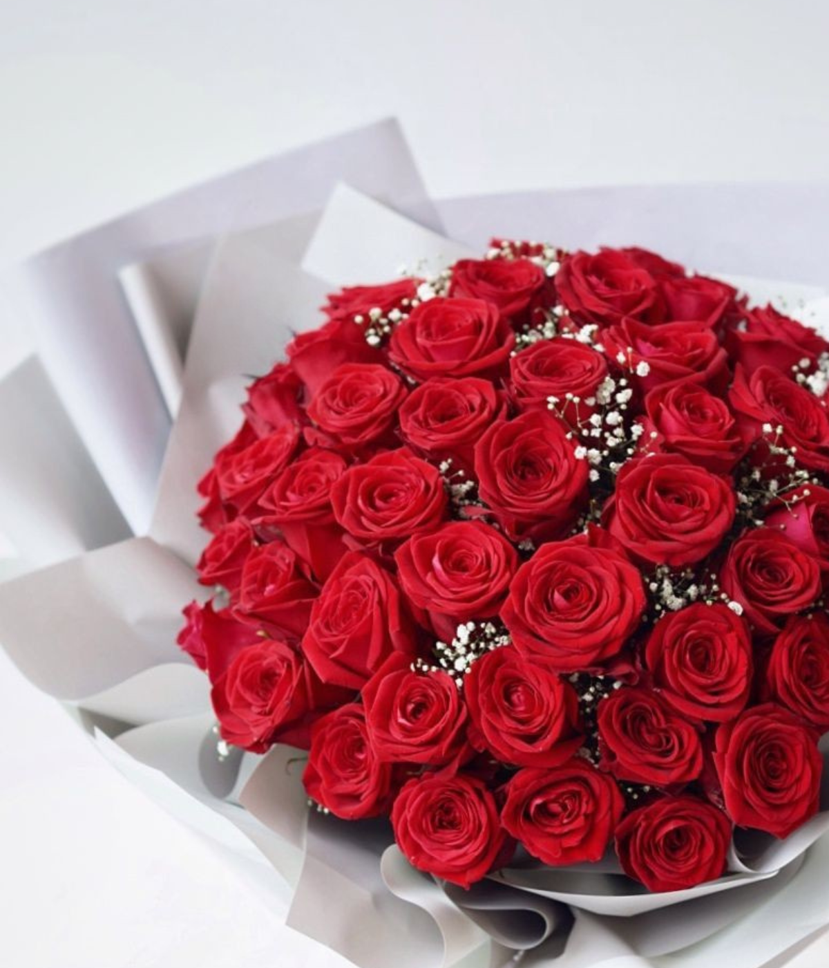 Valentine’s Dream Blooms