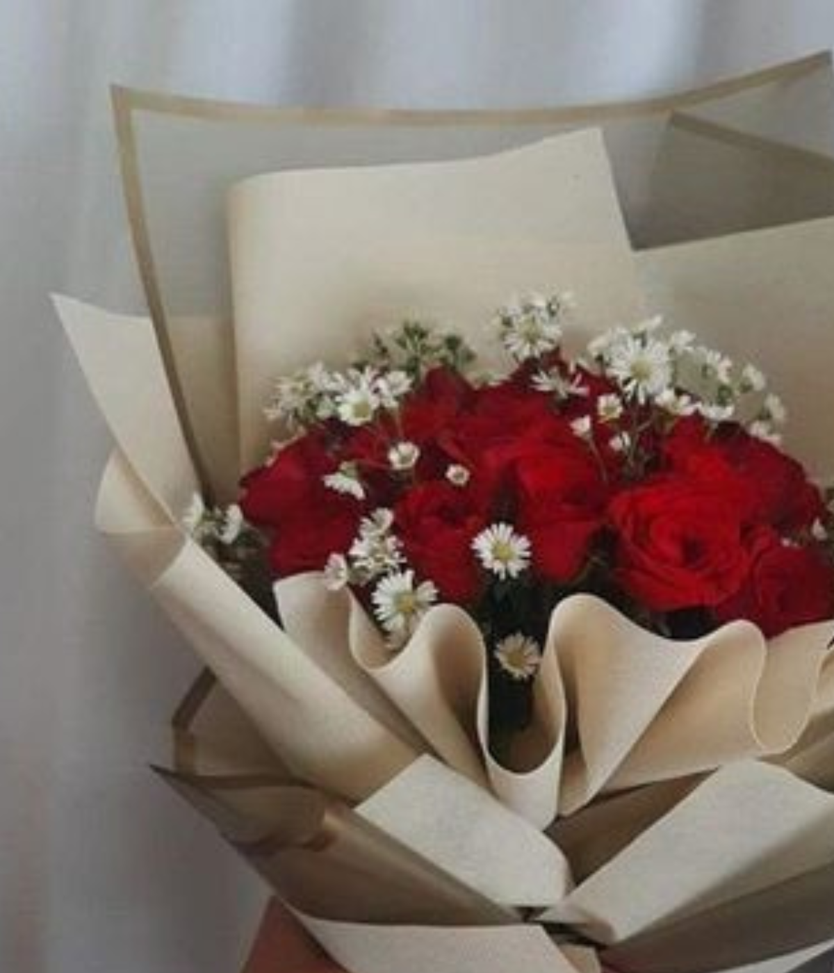 Valentine’s Rose Symphony