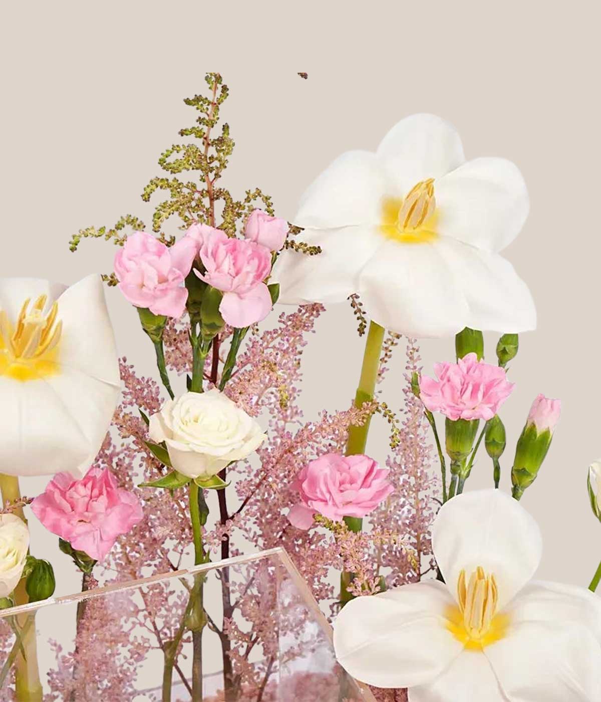 Hues of Pink Combo | Elegant Flower & Red Velvet Mono Cake Gift Box